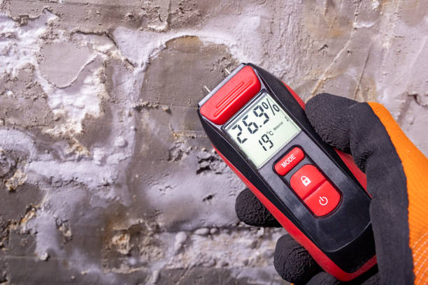 Best Attic Mold Remediation in Daniel, UT